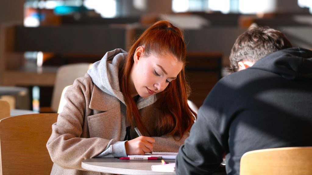 How to Study Effectively When You Have Limited Time
